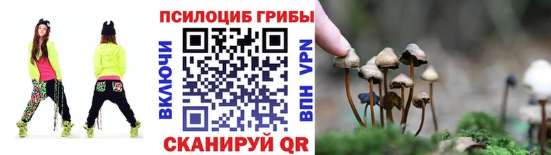 Псилоцибиновые грибы ЛСД  купить наркоту  Жигулёвск 